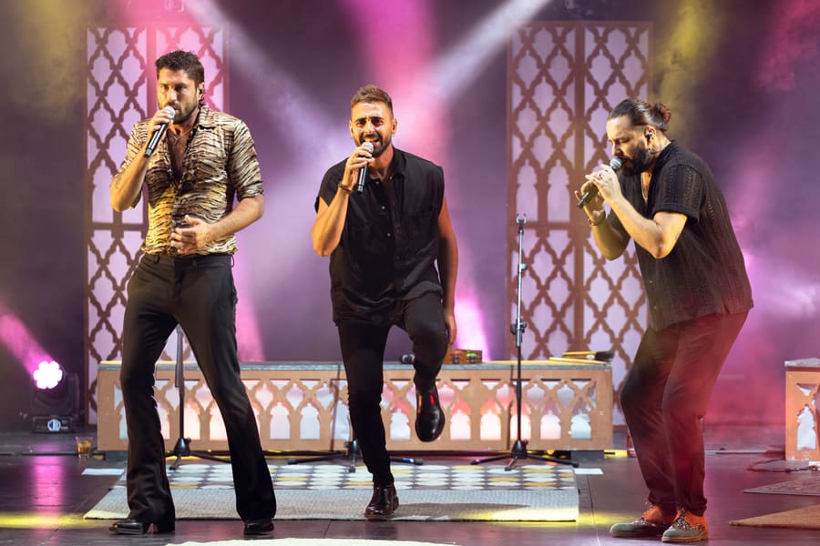 Fondo Flamenco