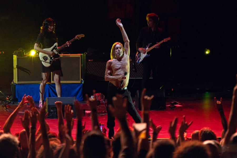 Iggy Pop