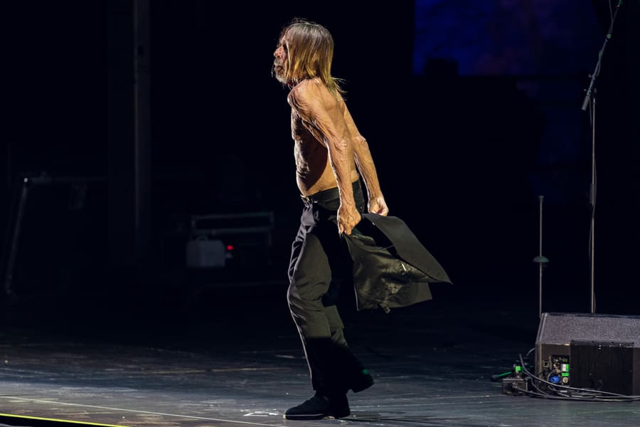 Iggy Pop
