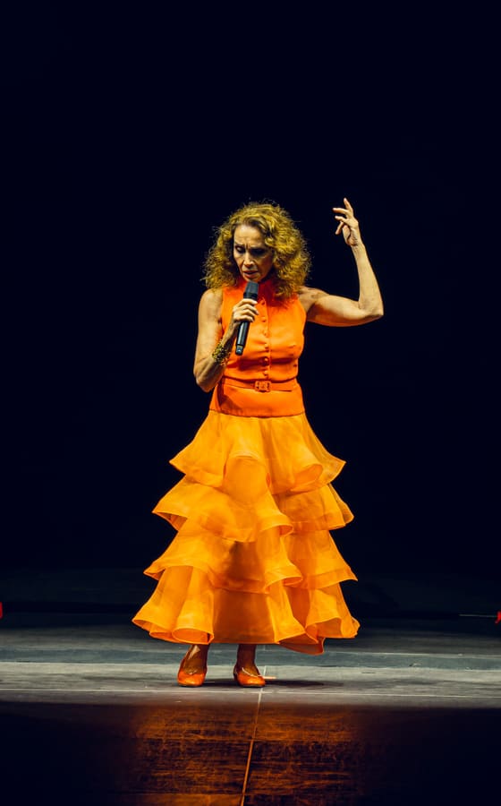 Ana Belén
